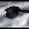 20151107_0207